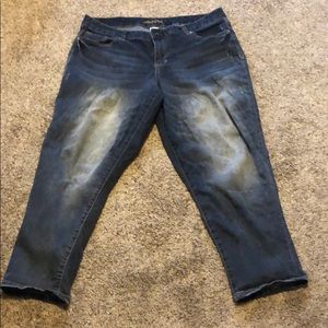 Maurices women’s jeans. distressed. 15/16 reg